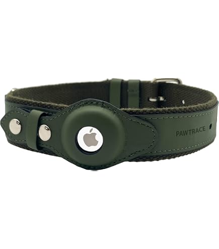 Klassisches Halsband Aus Leder Mit AirTag Für Hunde & Katzen – Verstellbar & Langlebig