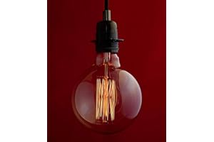 William & Watson Edison Vintage Extra Large Globe Squirrel Cage Dimmable Light Bulb, 40W Amber Old Fashioned Retro E27 Screw Fitting Lamp (Globe XL (G125))