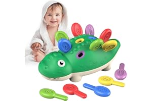 DFGEE Baby Sensory Montessori Toys for 2 Year Old, Toddler Toys Sensory Toys for Autism Counting Dinosaurs with Color Matching Sorting Toys Gifts for Kids 2 3 Years Old Boys Girls