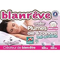 Blanrêve ORMOEHP016565 - Almohada natural, blanda, 65 x 65 cm, color blanco