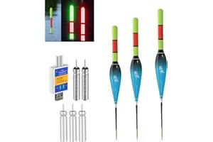 Hegawleo 2 Stück Led Posen Angeln mit CR425 Batterie Ladegerät, angelposen Mit Gravity Sensing Farbwechsel Und Kupferring, Angel Zubehör Zum Meeresfischerei Angeln Am See, Fluss Oder Teich.