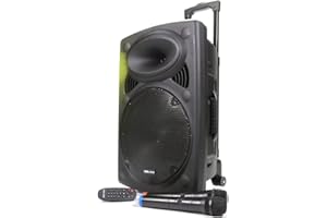 VOCAL-STAR Portable PA Speaker System with Bluetooth, USB - MP3, 2 Wireless Microphones 12" Woofer, Loud 300w Power, Bass & Treble Controls (VS-P120)