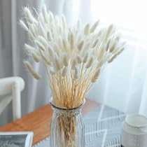 120 Queues De Lapin Séchées Naturelles - Herbe De Pampa Lagurus - 60cm - Pour Décoration Mariage, Noël, DIY - Rouge