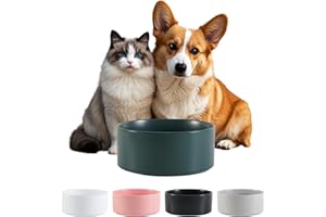 PTOBER Ceramica Bebedero y Comedero Perro - Antideslizante Cuenco para Perros Pequeño y Mediano Ideal para Comida y Agua - Bebedero Gatos Apto para Gatos Grandes - 15 cm - 320 g / 720 ml - Verde