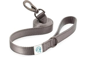 EMBARK PETS Embark Adventure Smycz dla psa - kolorowa, mocna i solidna nylonowa smycz dla małych psów, smycze dla średnich psów i psów, psów dużych ras, wytrzymała smycz do treningu psów (czarna smycz dla psa)