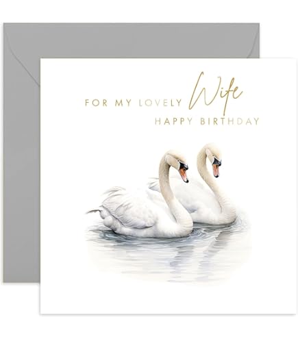 Brainbox Candyofficial Viz Advert Birthday Card Hilariously Funny Swan Retrain Cheeky Alternative Card Humour For Him Her Men Women Friend Mates Sold - View #4