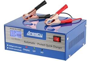 ANESTY Car Battery Charger, 12V/24V Automatic Car Battery Charging Unit, Smart Monitor Charge Maintain Battery Charger with LED Screen, Ideal for Various Vehicle Vans Tractors Lead-acid Battery