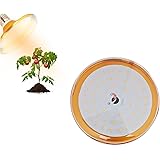 XGzhsa Pflanzenwachstumslampe LED, Pflanzenlampe klein, E27 LED-Pflanzenlampe Glühbirne Vollspektrum für das Wachstum von Hyd