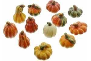 Frank Flechtwaren Terrakotta Pumpa, Set med 12, Keramik, Flerfärgad, Höhe 4-8 cm