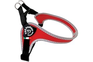 TRE PONTI Treponti Pettorina per Cani di Piccola Taglia, con Fibbia Regolabile sul Ventre