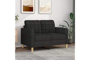 SECOLI Sofa 2 sitzer 2 sitzer Sofa 2er Couch Lounge Couch Sofa Couch Couch Klein für Wohnzimmer/Schlafzimmer/Büro/Wohnung-2-Sitzer:120cm-Schwarz-Stoff