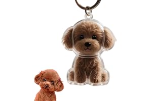 Beojonvy Hundehaar-Sammler-Schlüsselanhänger, Erinnerung Hund, Tierhaar Anhänger, tierhaars-erinnerung pfote für Hunde Speicherung Katzen- und Hundeliebhaber