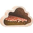 EXNOX Forever Cloud Mirror Tulips, Cloud Lights, Cloud Tulip Lamp Mirror, Desktop Lamp, Romantic Tulip Mood Lights for Couple Friends Gift Ornament (Pink)