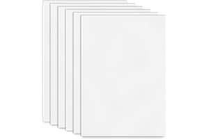 L&W LUCK 6 fogli di plastica bianca, A4 in schiuma di PVC, 21 x 29,7 cm (stile 1)