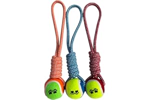Genérico Juguete para Perros de Cuerda con Pelota - para Raza pequeña y Mediana - El Paquete Incluye 3 Unidades