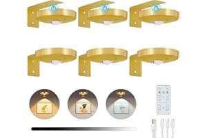 Lightsjoy 6 Pack Picture Lights for Wall Rechargeable Battery Spot Light 3 Color Temperature Dimmable LED Wall Lights Wireless Remote Control Stair Lights Timer Magnetic Art Painting Light Gold