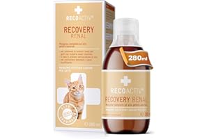 RECOACTIV Recovery Renale per gatti, 1 x 280 ml, mangime completo ad alto potere calorico in caso di compromissione della funzionalità renale e di un maggiore fabbisogno energetico