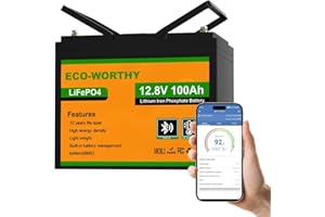 ECO-WORTHY 12V 100Ah LiFePO4 Bluetooth mit BMS Low Temperature Schutz,1280Wh Lithium Batterie 12V 100Ah Autobatterie für Wohnmobil,Wohnwagen,RVs