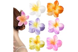 DULSPUE mollette capelli donna,pinze per capelli,mollettone capelli donna,fermaglio capelli donna,6 clip floreali in diversi colori, che mostrano l'eleganza e la bellezza delle donne
