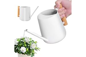 LEKEFETO Regadera blanca para plantas de interior, 1 l, de acero inoxidable, con boquilla larga y mango de madera, para plantas suculentas, macetas y flores