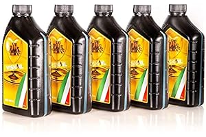 LUBRIFICANTI VISKOIL Viskoil 5W30 - Olio motore sintetico, 1 L, Confezione da 5 (5 x 1L) [la confezione può variare]