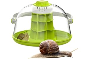 WEPPDUK Terrarium pour Reptiles en Verre,boîte D'élevage D'escargots, Boîte D'élevage Légère pour Reptiles, Maison Respirante pour Escargots, À Soie, Tortues, Petits Animaux