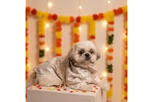 Furryfits Ethnic Dog Kurta Traditional Indian Kurta for Dogs - Festive Pet Outfit - Comfortable & Stylish Ethnic Wear for Weddings, Diwali & Celebrations (12 inch)