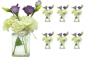casavetro - Set di 6 mini vasi quadrati da 285 ml, in vetro trasparente, decorazione per fiori da matrimonio (6 fiori bianchi)