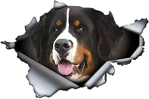 TIZIKJ Adesivo per auto con cane di San Bernese, 15 cm