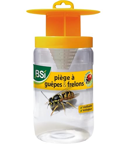 Piège à Guêpes Et Frelons Asiatiques - Modèle Double Entrée à Suspendre - Facile à Installer Avec Une Bouteille En Plastique - Écologique Et Sans Produit Chimique (2 Ou 4 Pièces)