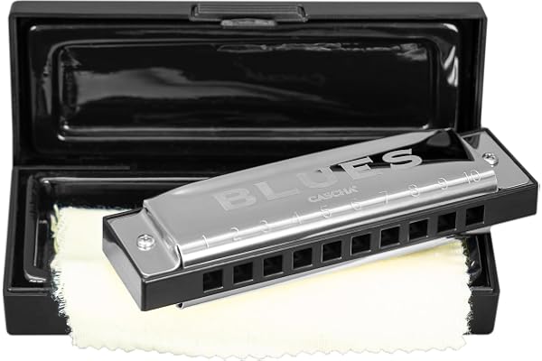 CASCHA Harmonica en Do, harmonica blues diatonique, instrument pour adultes, enfants et débutants avec étui HH 2007