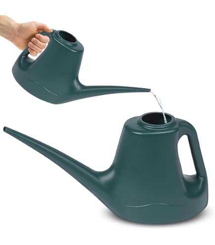 Come creare un annaffiatoio riciclando la plastica | Verde Pisello