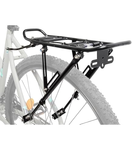 28 Zoll Fahrrad Gepcktrger Streben Lnge 160 mm Federklappe Silber  glnzend : Amazon.de: Sport & Freizeit