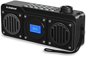 Avantree Boombyte - Radio FM Portátil Pequeña 4 en 1 y Altavoz Bluetooth con Altavoz Duales (14W), Volumen Potente, Sonido Estéreo, Lector Micro SD y Puerto USB, Reproductor de MP3 Recargable