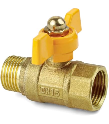 Robinet à Boisseau Sphérique Bwintech 2 Pièces BSP 1/2