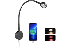 Obeaming Lampade da Lettura LED 12V Camper Barca Spot, Integrato Interruttore Dimmer, Caricabatterie di Tipo C, Luce Notturna Rossa, Per Caravan Furgone Van 24VDC Flessibile a Collo di Cigno (Nero)