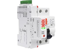 WATTIVE Interruttore magnetotermico differenziale tipo AC Salvavita con riarmo automatico 2P 40A 300mA RCCB AC230V interruttore differenziale a riarmo automatico display digitale LED GYAR9-AC-G