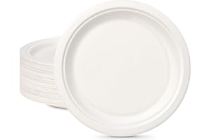 GREENESAGE Piatti usa e getta, 150 pezzi, piatti di carta, 26 cm, bianchi, rotondi, monouso, grandi piatti di canna da zucchero, piatti di carta biodegradabili, piatti monouso per matrimoni