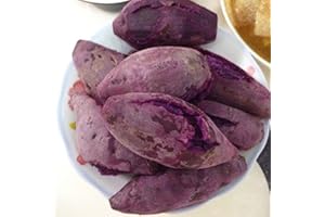 Saterkali Semi di patata dolce viola, 100 pezzi semi di patata dolce viola nutrizione deliziose piante bonsai vegetali Semi Di Patata Dolce Viola