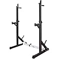 RIP X Adjustable Squat and Bench Press Rack Stand with Spotters and Dip Bars
