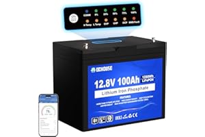 DCHOUSE Batería de litio LiFePO4 de 12V 100Ah, protección contra bajas temperaturas, BMS inteligente de 100A integrado, hasta 15000 ciclos, para motor de pesca por curricán, RV, sistema solar