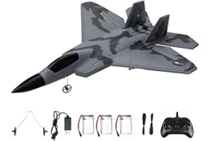 Dickly Avion RC 2 Canaux Télécommandé Prêt à Voler pour Adultes, Mousse RC pour Adultes, Avion Télécommandé avec économiseur D'hélice, 3 Piles