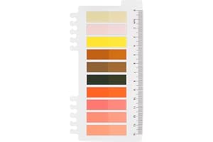 ‎ORDINATE Ordinate Transparente Haftnotizen, Klebezettel, Haftstreifen, Haftmarker, für Büro, schule zubehör, Lesezeichen, aesthetic Schreibwaren, klein index tabs, sticky notes (A - 200 Stück Spirits)