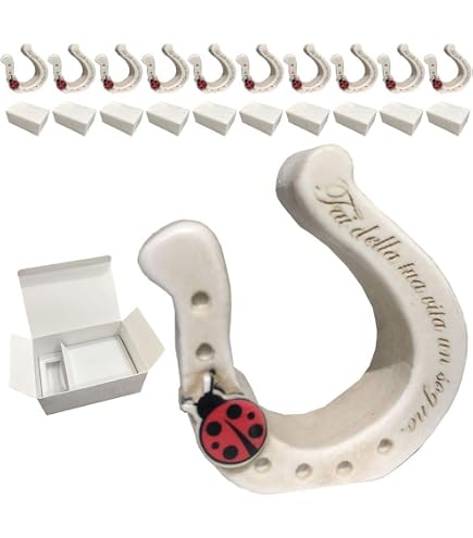 Ferro Di Cavallo Portafortuna Personalizzabile – In Ferro Pesante Argentato, Incisione A Scelta, Con Chiodi E Confezione Regalo, 15x15 Cm