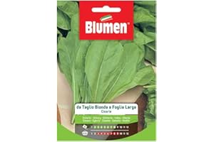 BLUMEN CICORIA DA TAGLIO BIONDA A FOGLIA LARGA