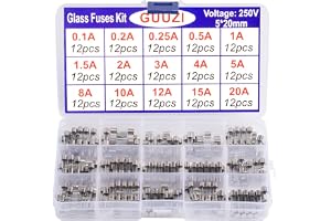 GUUZI 15 Värden 180st 5 × 20mm 250V Fast-Blow Glass Fuse Assortment Kit 0,1A / 0,2A / 0,25A / 0,5A / 1A / 1,5A / 2A / 3A / 4A
