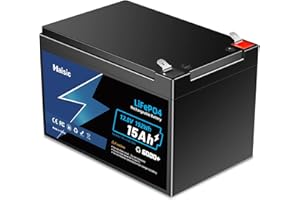 BRINGLUCK2U Haisic Batterie 12V 15Ah LiFePO4 6000 Cycles Batterie Rechargeable sans Entretien avec BMS intégré pour énergie Solaire, Scooters Enfants, Bateau, voiturette de Golf, Camping-Car et Plus