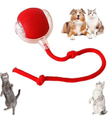 Jouet Interactif Automatique Pour Chat - Balle Roulante Avec Queue Remplaçable, 2 Vitesses, Charge USB