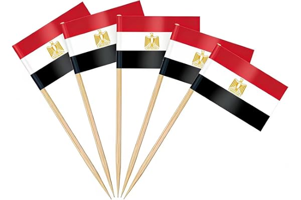 AhfuLife 100 st Egypten tandpetarflagga - topp egyptisk flagga för tårttopper, tandpetare egyptisk flagga för trädgård bar VM
