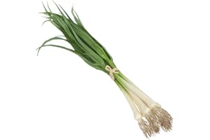 FloristryWarehouse Artificial Spring Onion Bundle 6 Scallions 40cm/16 Inches